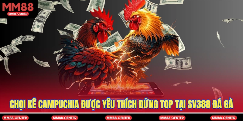 Chọi kê Campuchia được yêu thích đứng top tại SV388 Đá Gà