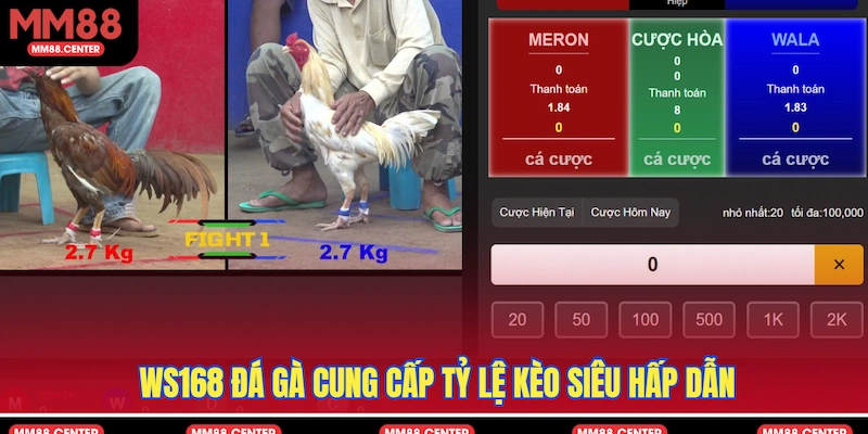 WS168 Đá Gà cung cấp tỷ lệ kèo siêu hấp dẫn
